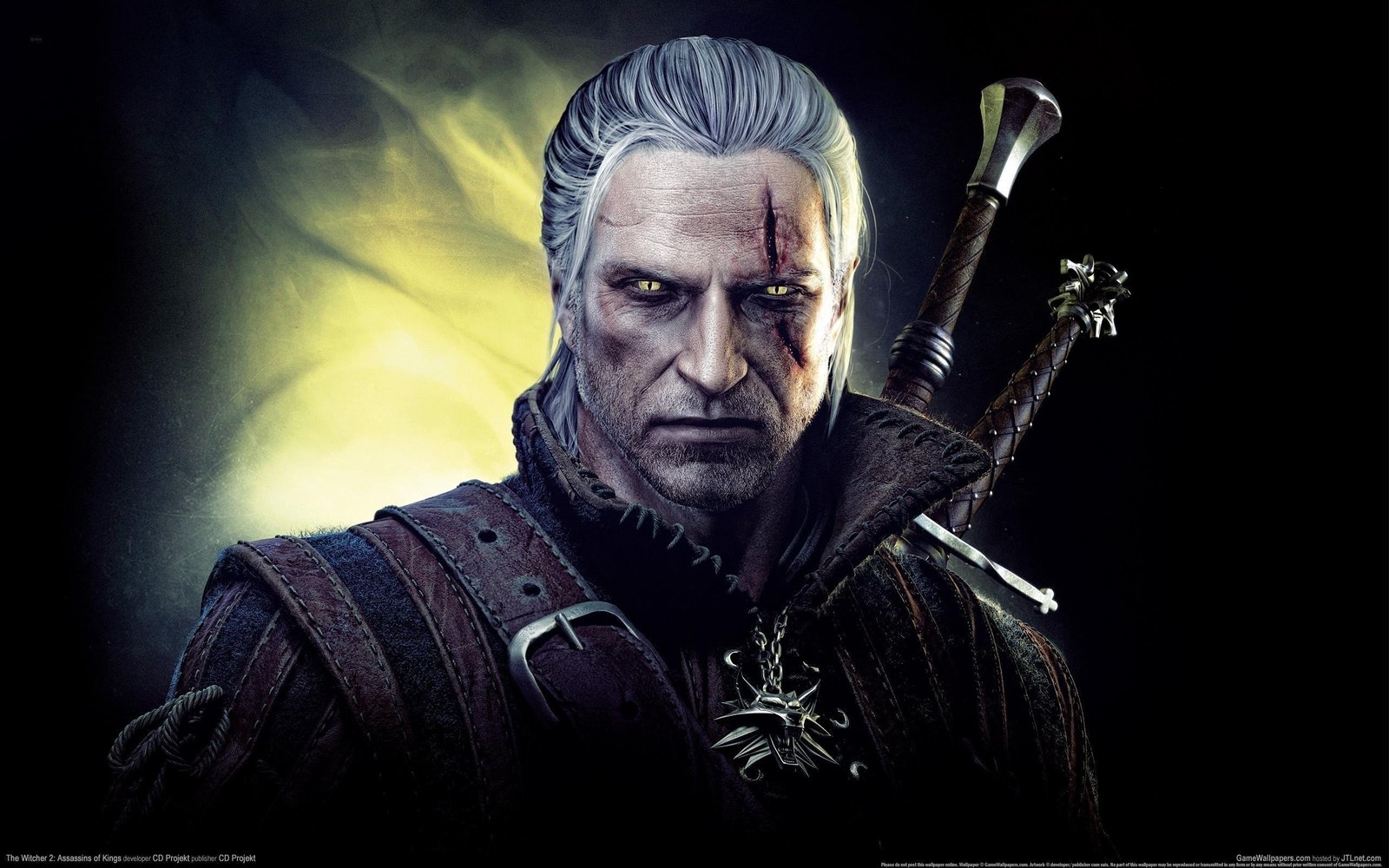 The witcher