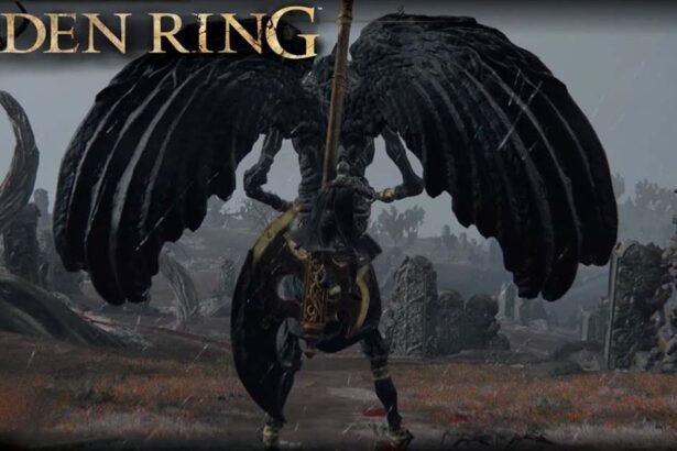 Elden Ring Dragon Apostle Cookbook